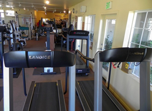 Landice Treadmills